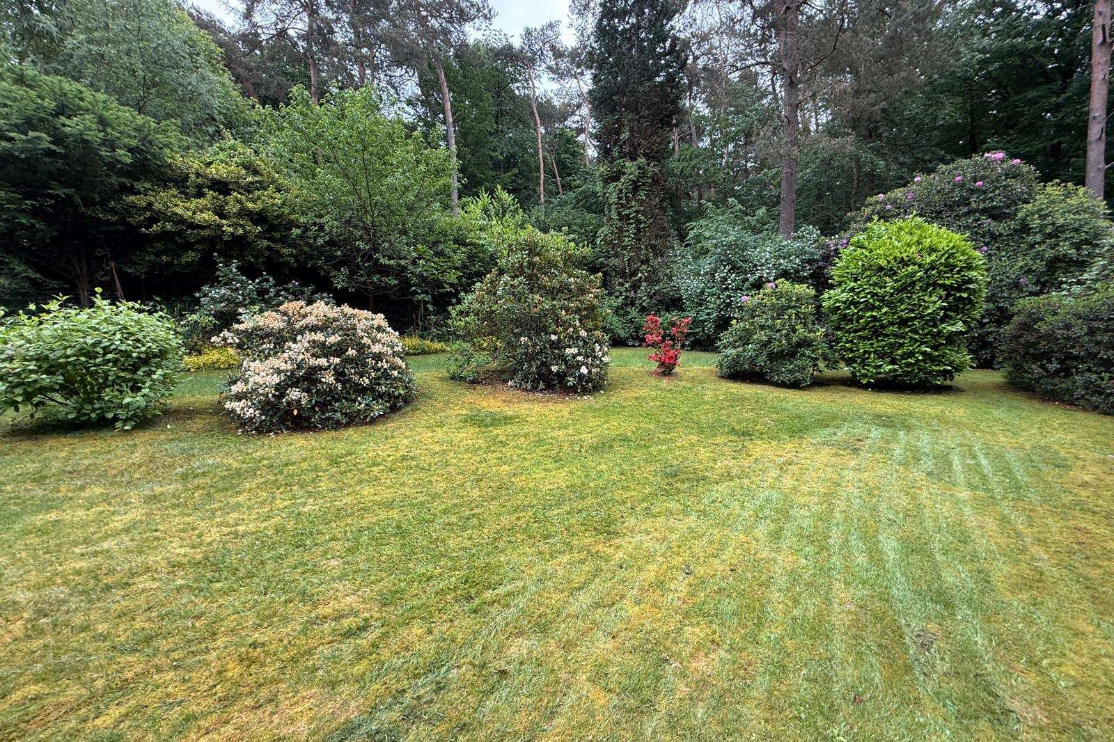 Ein Paradies für Naturliebhaber! Traumhaftes Gartengrundstück in Bergisch Gladbach!