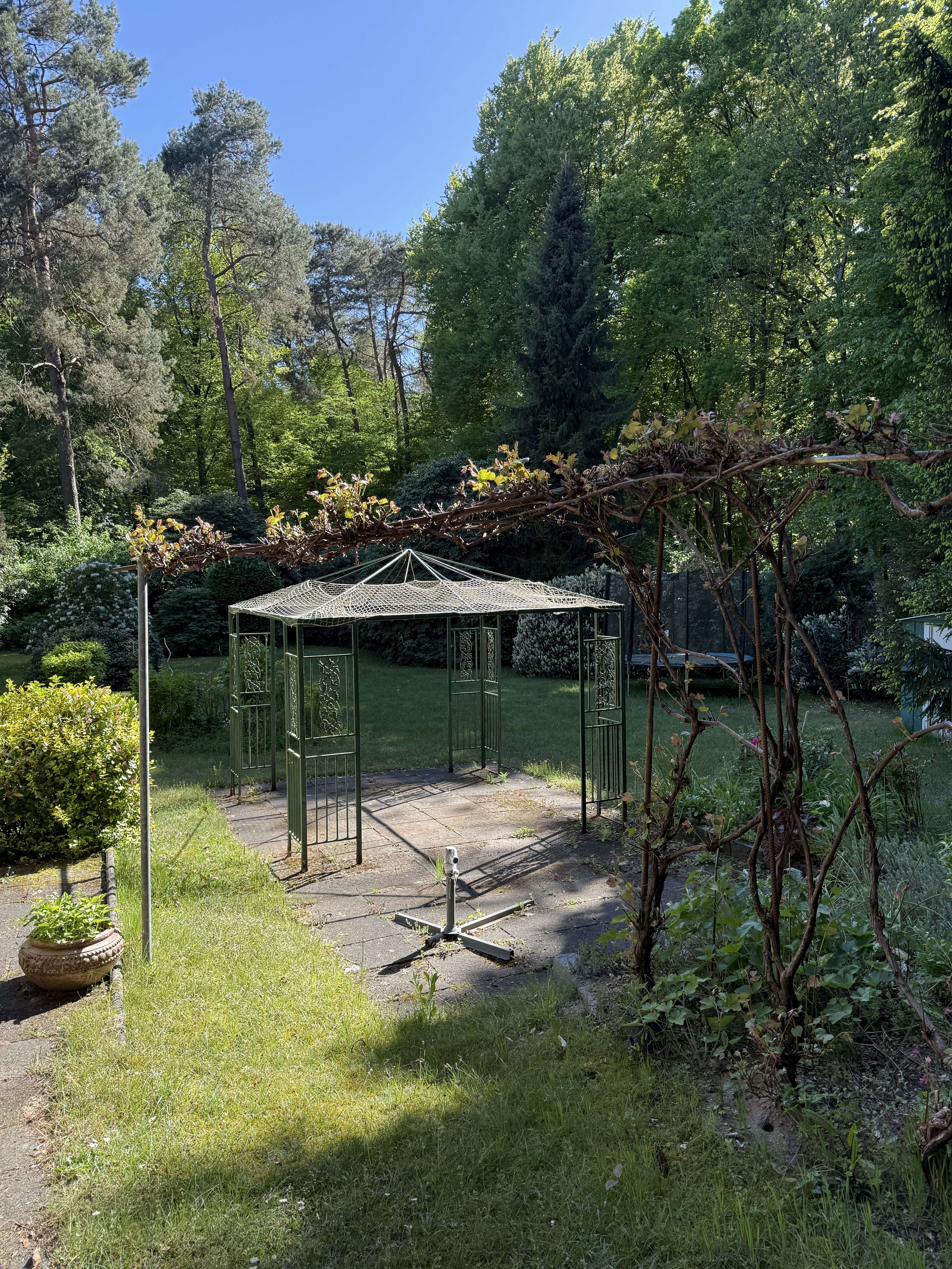 Ein Paradies für Naturliebhaber! Traumhaftes Gartengrundstück in Bergisch Gladbach! Bild 4