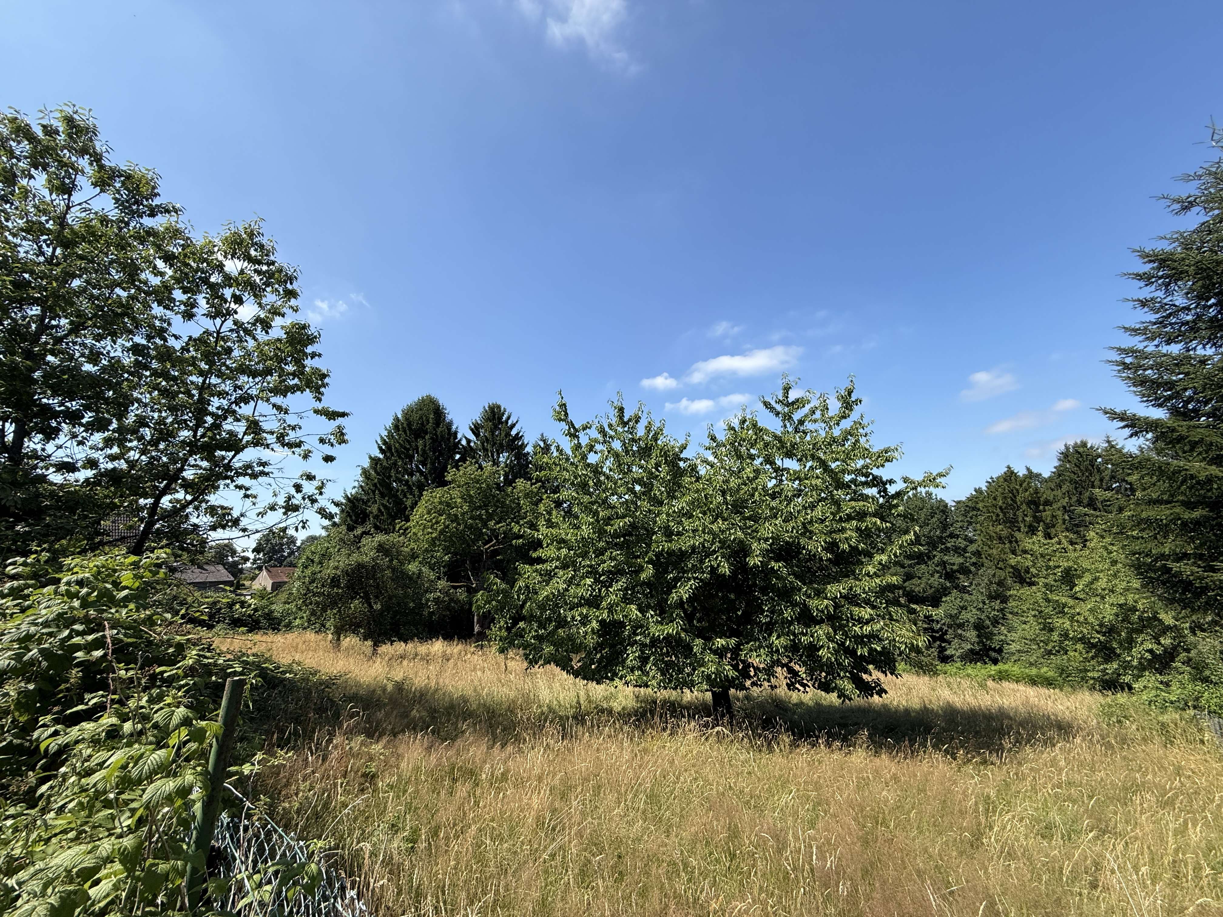 Traumhaftes Grundstück mit Fernblick in idyllischer Lage von Moitzfeld!