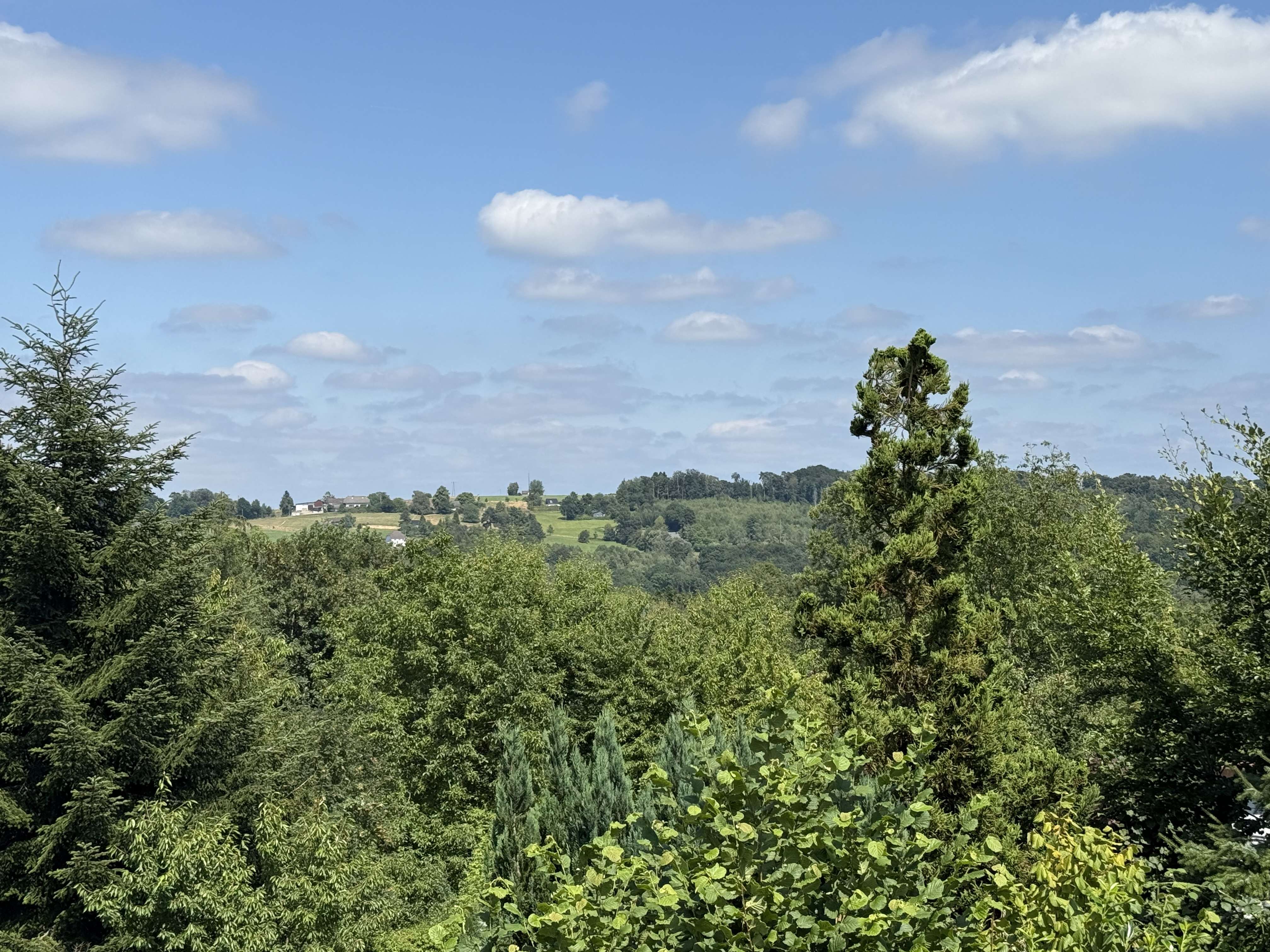 Traumhaftes Grundstück mit Fernblick in idyllischer Lage von Moitzfeld! Bild 4