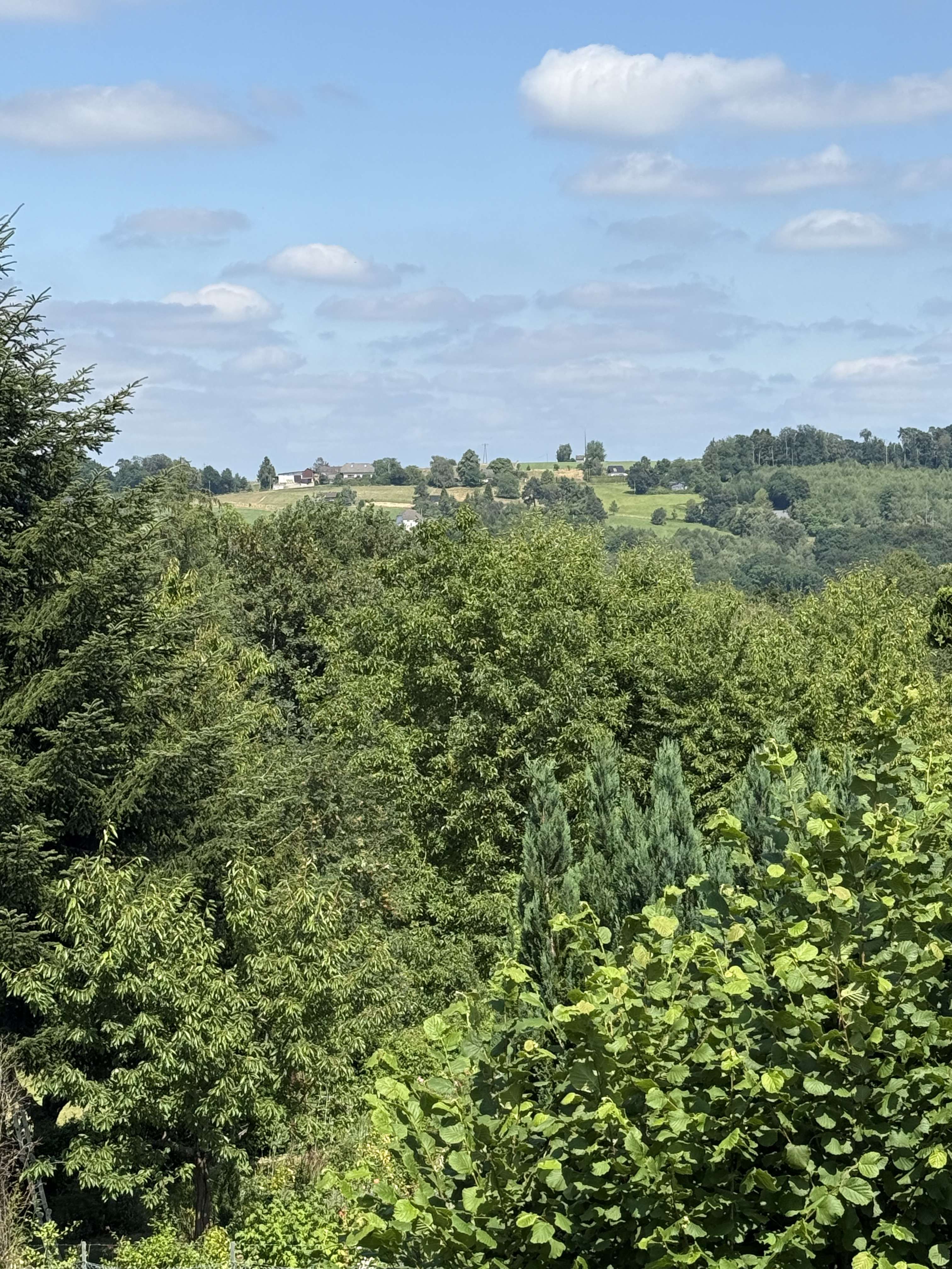 Traumhaftes Grundstück mit Fernblick in idyllischer Lage von Moitzfeld! Bild 5